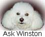 Ask Winston